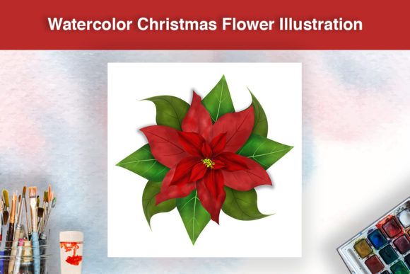 Christmas Red Flower Illustration for Branding and Design Projects