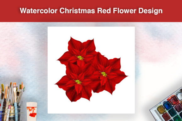 Christmas Red Flower Illustration for Design Projects