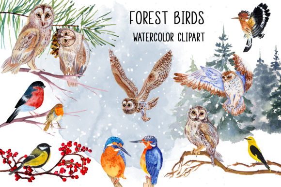 Watercolor Christmas Clipart Winter Bird Illustrations