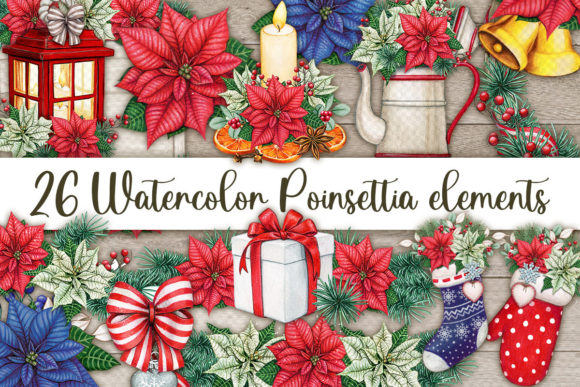 Watercolor Christmas Poinsettia Illustrations